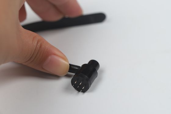 পোলিশ প্লুম ব্লসম ইগলস 0.20mm X 25mm শীতল শুকনো জায়গায় সঞ্চয়