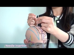 হাওটো কানের একুপাঙ্কচার প্রেস ইগল কার্যকরভাবে রক্ত সঞ্চালন 0.22 * 1.5mm উন্নীত